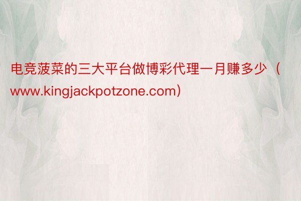 电竞菠菜的三大平台做博彩代理一月赚多少（www.kingjackpotzone.com）
