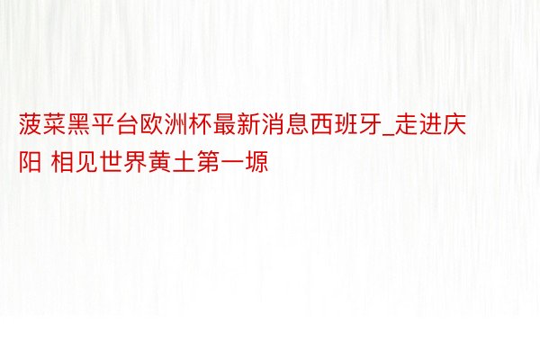 菠菜黑平台欧洲杯最新消息西班牙_走进庆阳 相见世界黄土第一塬