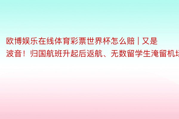 欧博娱乐在线体育彩票世界杯怎么赔 | 又是波音！归国航班升起后返航、无数留学生淹留机场